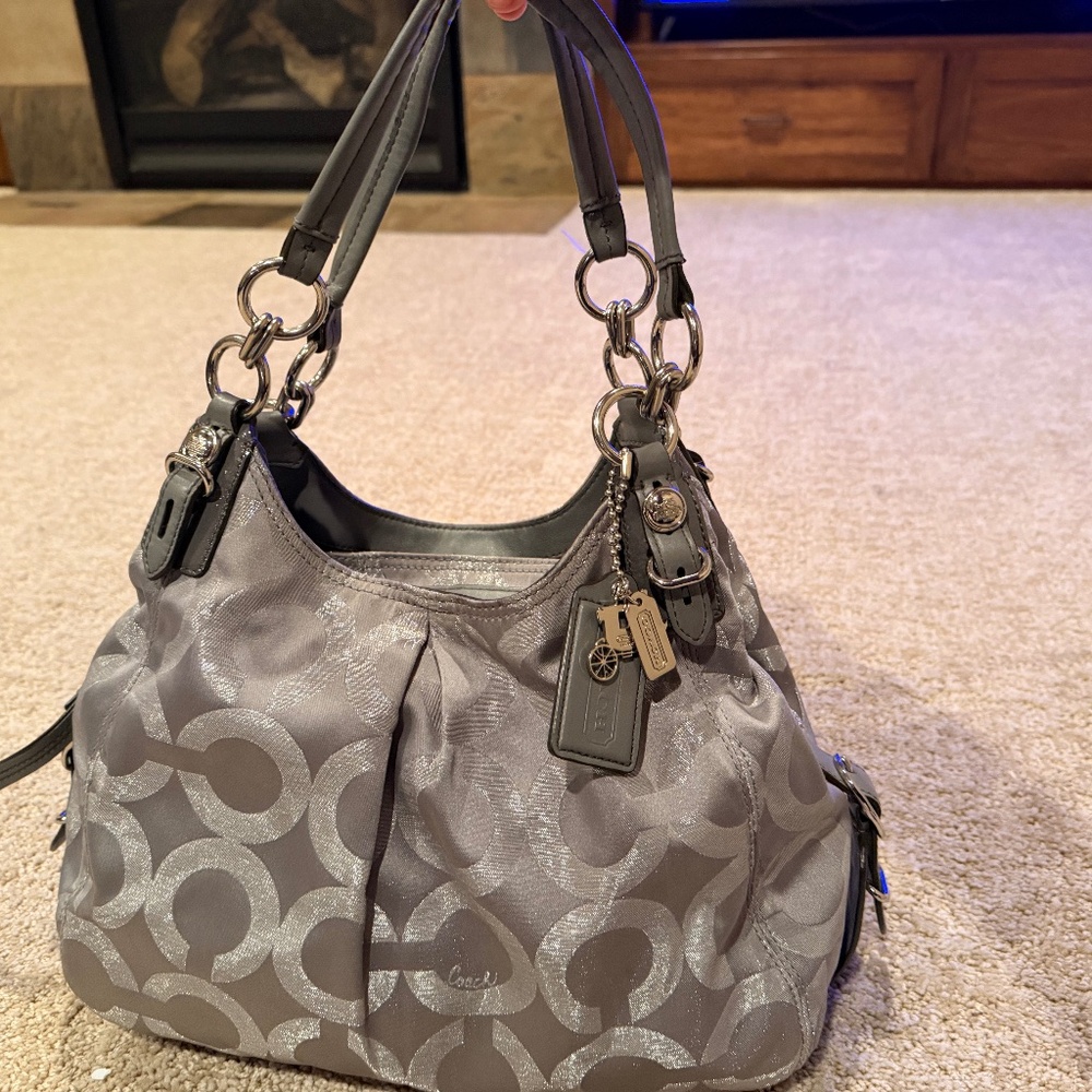Silver coach purse